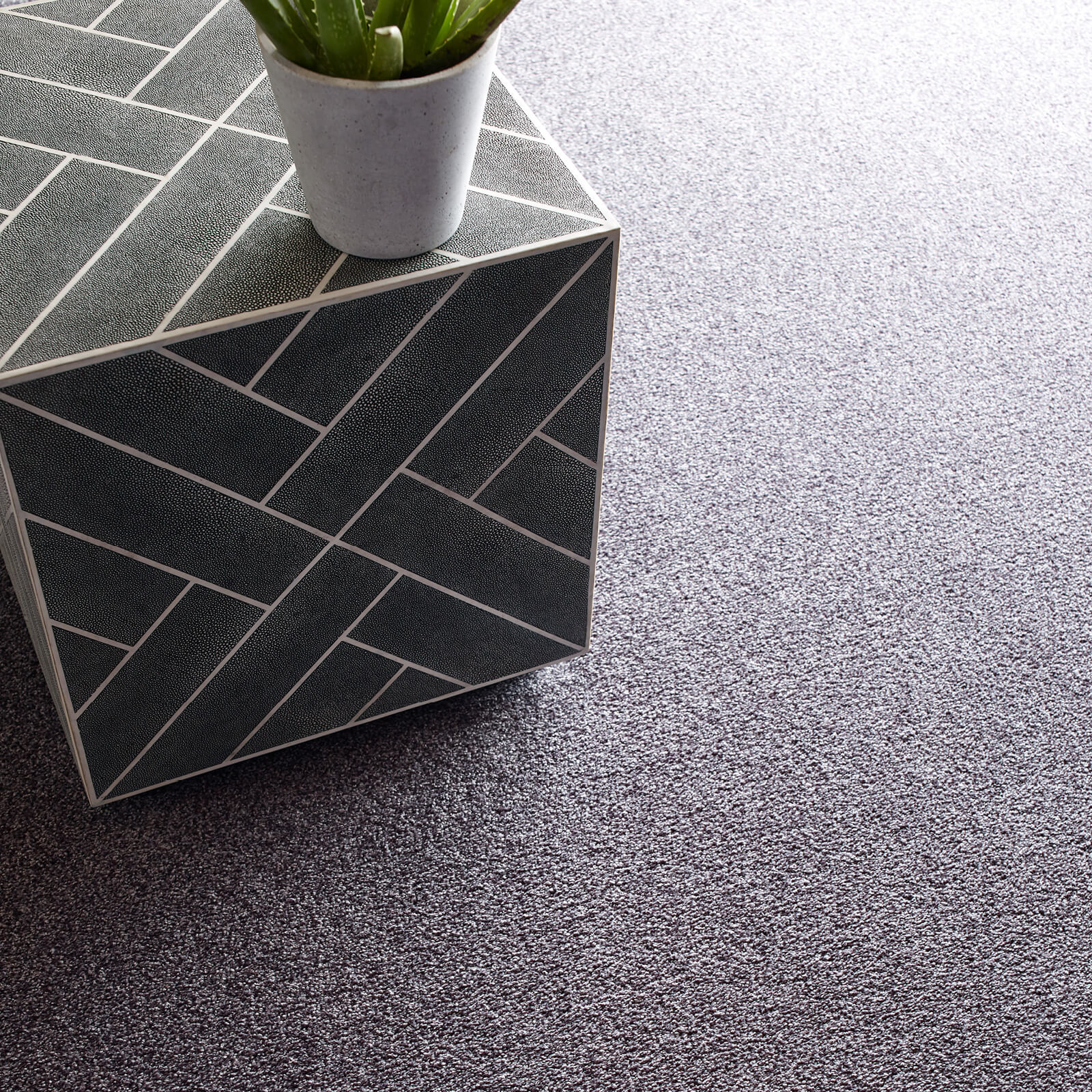 Grey Carpet | We'll Floor You
