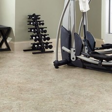 Gym area carpet | We'll Floor You